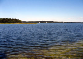 Der Schaalsee, kristallklar