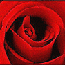 clipart-kiste-de_3.gif