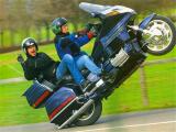 Wheely.jpg
